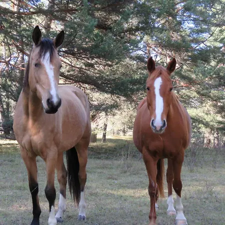 Mon Ecrin De Nature Rez De Jardin * Seyne
