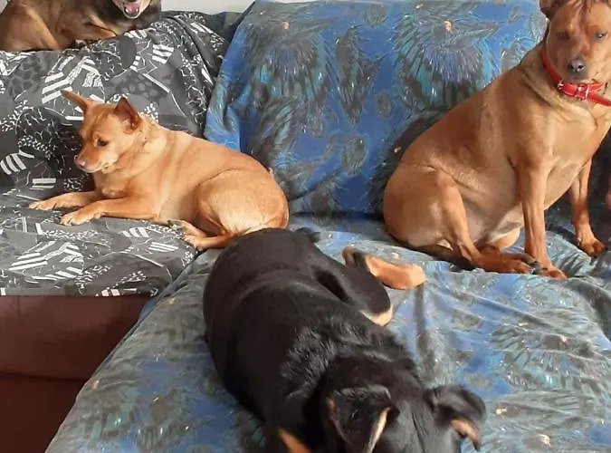 Mon Ecrin De Nature Rez De Jardin * Seyne