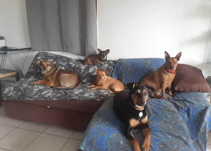 Mon Ecrin De Nature Rez De Jardin Сasa de vacaciones