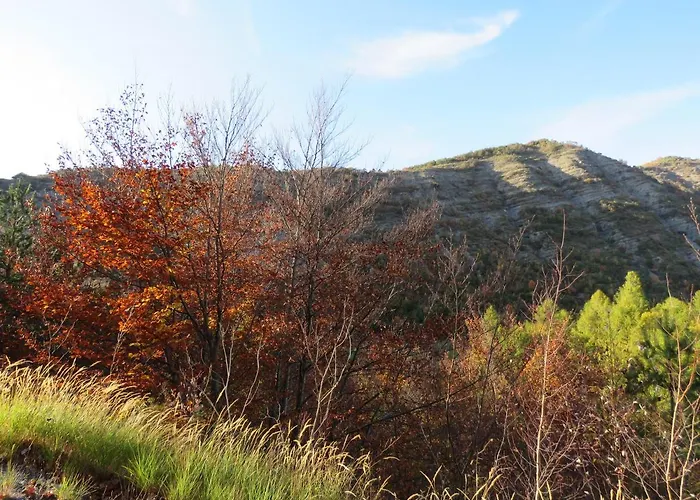Mon Ecrin De Nature Rez De Jardin Seyne