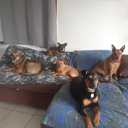 Mon Ecrin De Nature Rez De Jardin Дом отдыха