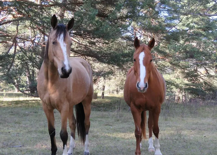 Mon Ecrin De Nature Rez De Jardin * Seyne